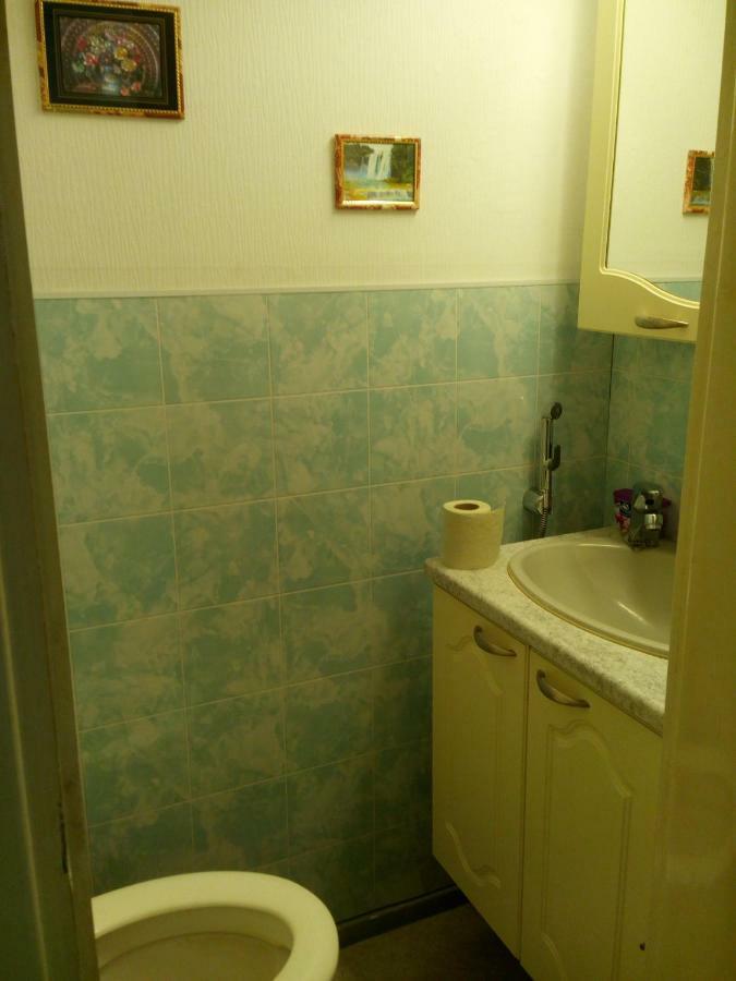 Lana Guest House Simpele 外观 照片